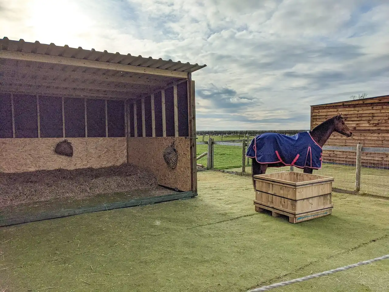 Utwardzona zagroda przy wiacie w Abbotts View Livery
