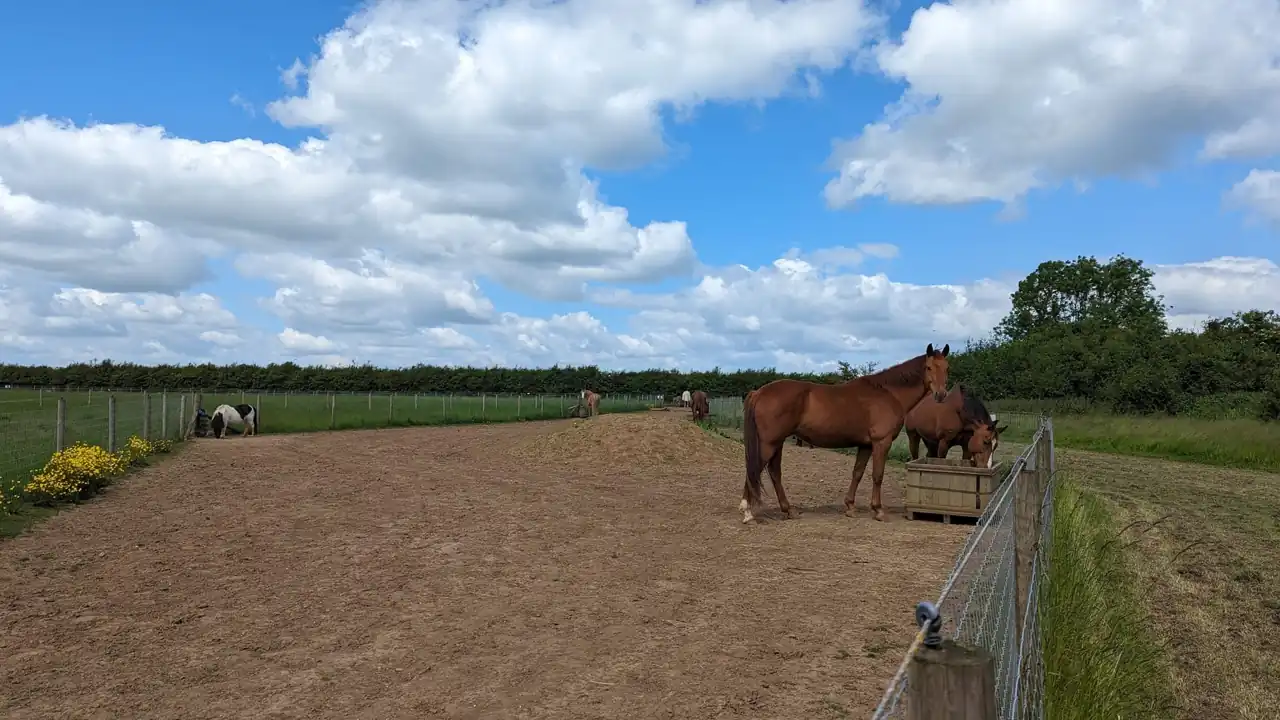 Szeroki, piaszczysty odcinek tracku w Abbotts View Livery
