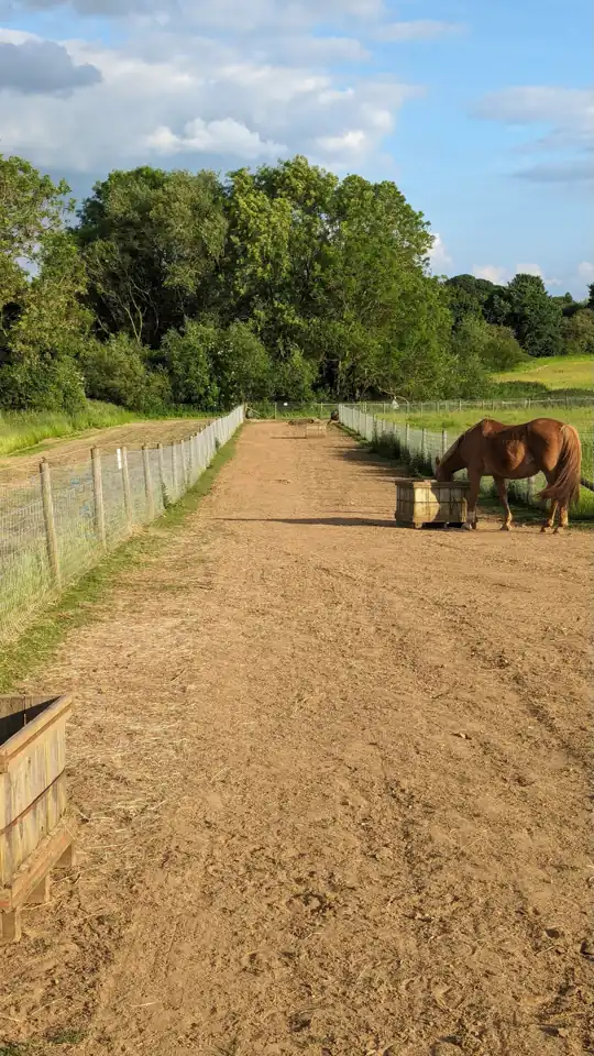 Piaszczysty odcinek tracku przy ogrodzeniu i środkowym padoku