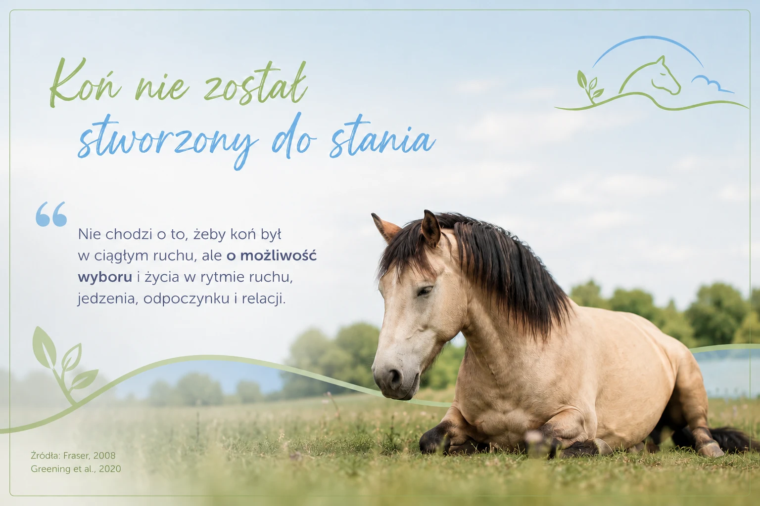 Grafika artykułu Koń nie został stworzony do stania