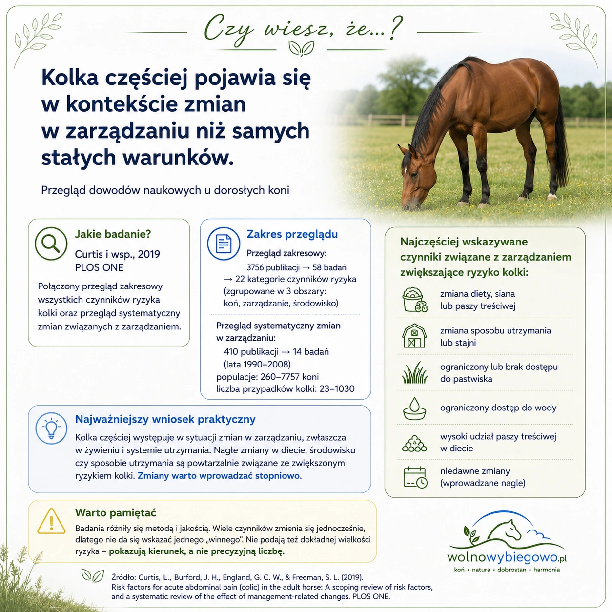 Infografika przedstawiająca przegląd badań Curtis i współautorów z 2019 roku dotyczący czynników ryzyka kolki
