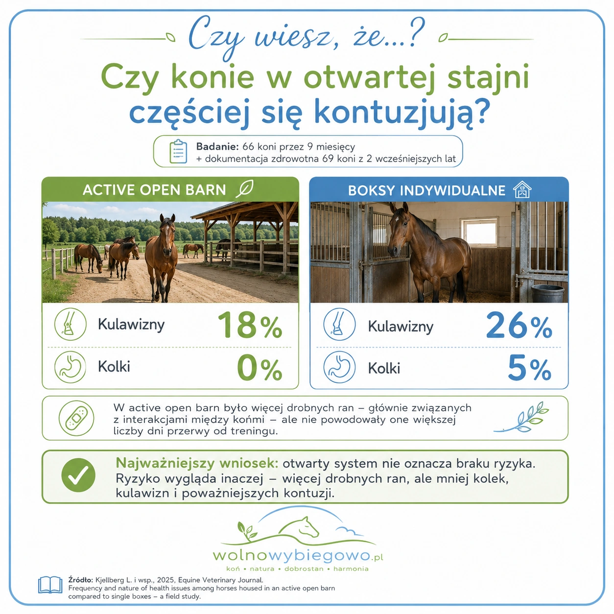Infografika porównująca problemy zdrowotne koni w otwartej stajni i pojedynczych boksach