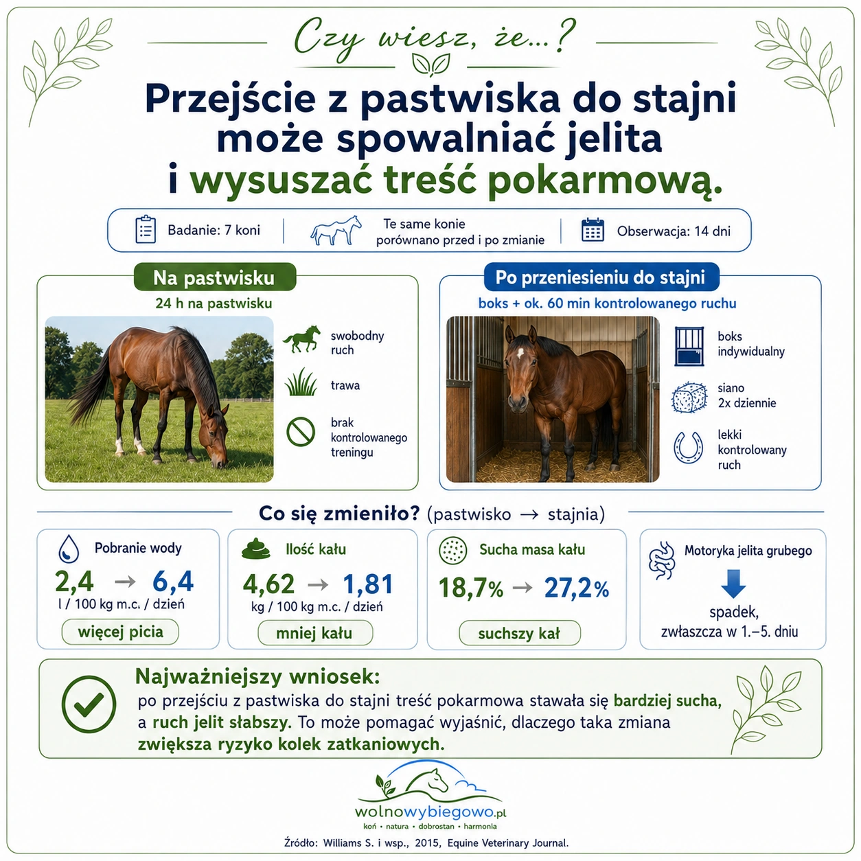 Infografika przedstawiająca zmiany po przeniesieniu koni z pastwiska do stajni