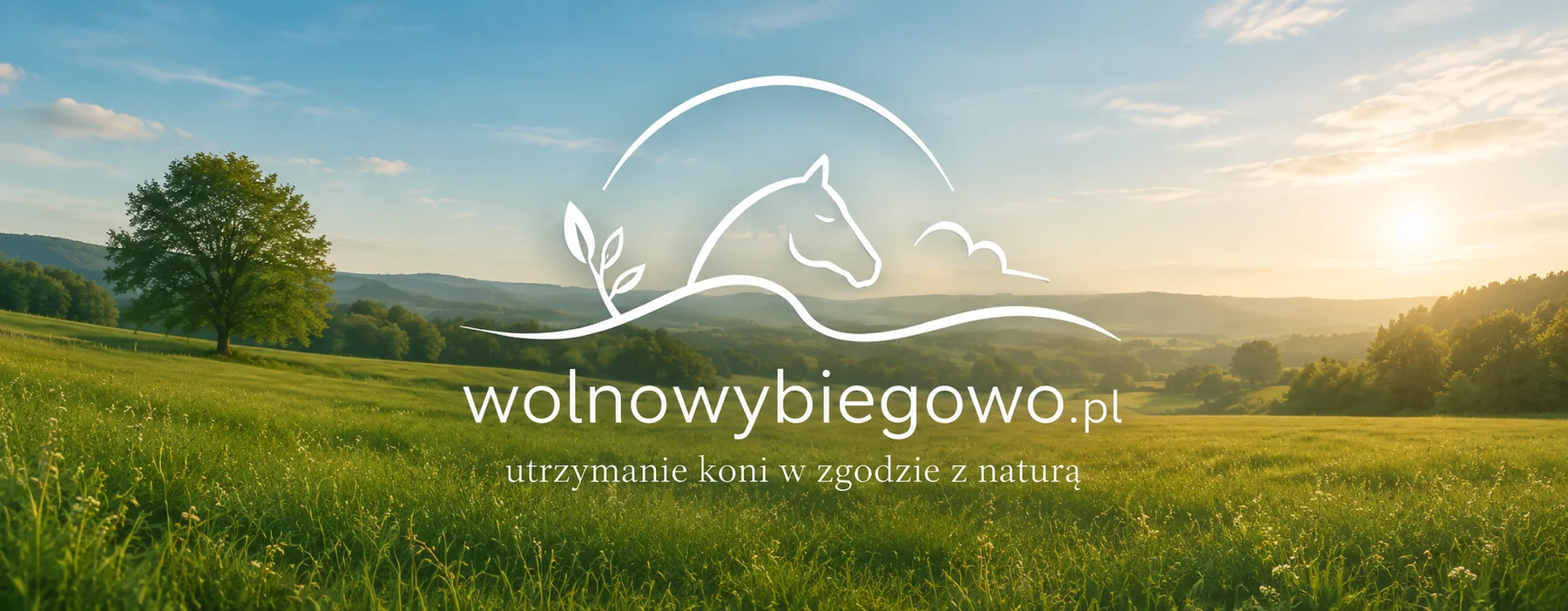 Panorama łąk z logo Wolnowybiegowo.pl