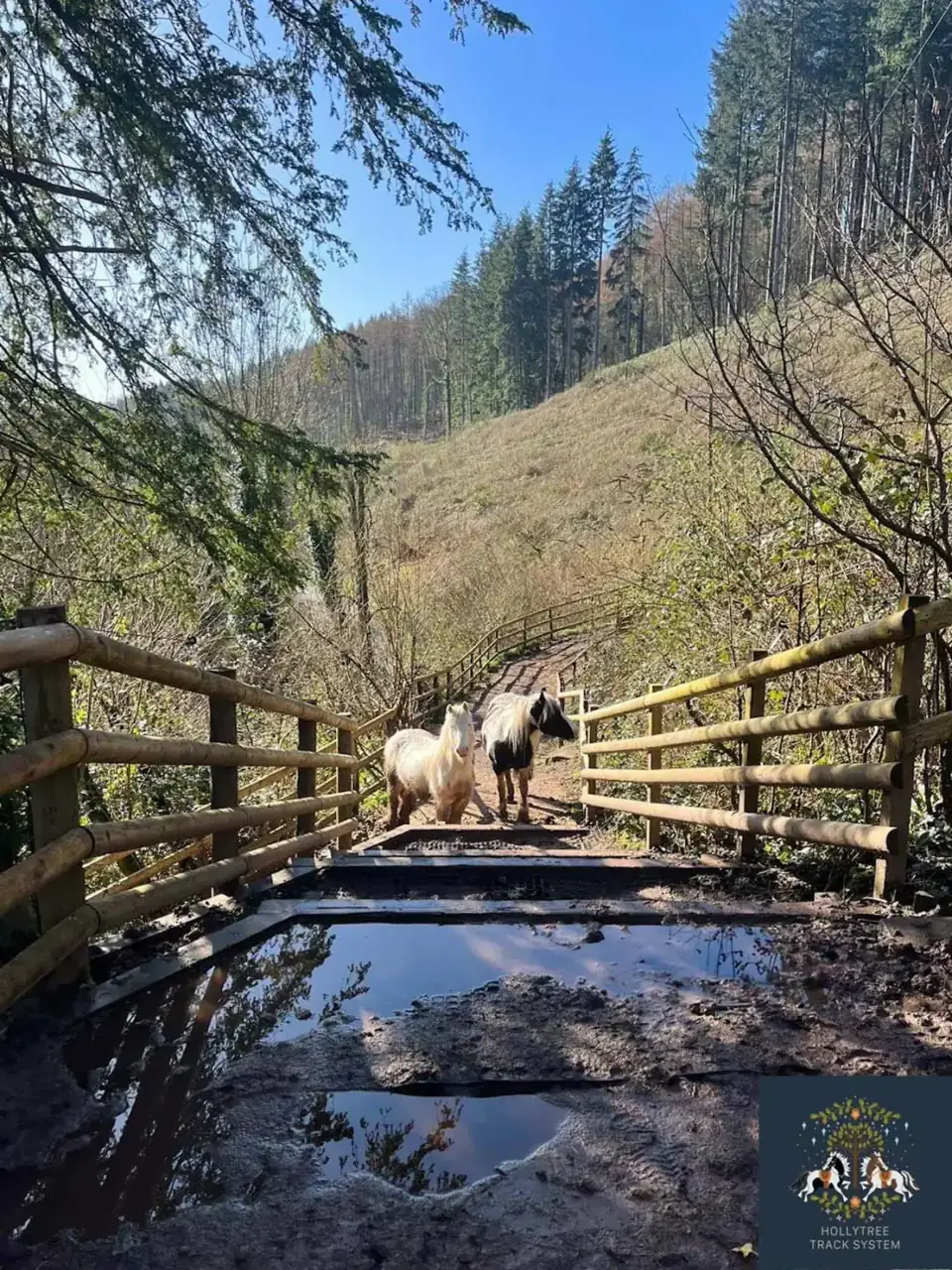 Widok stromego zbocza i stopni