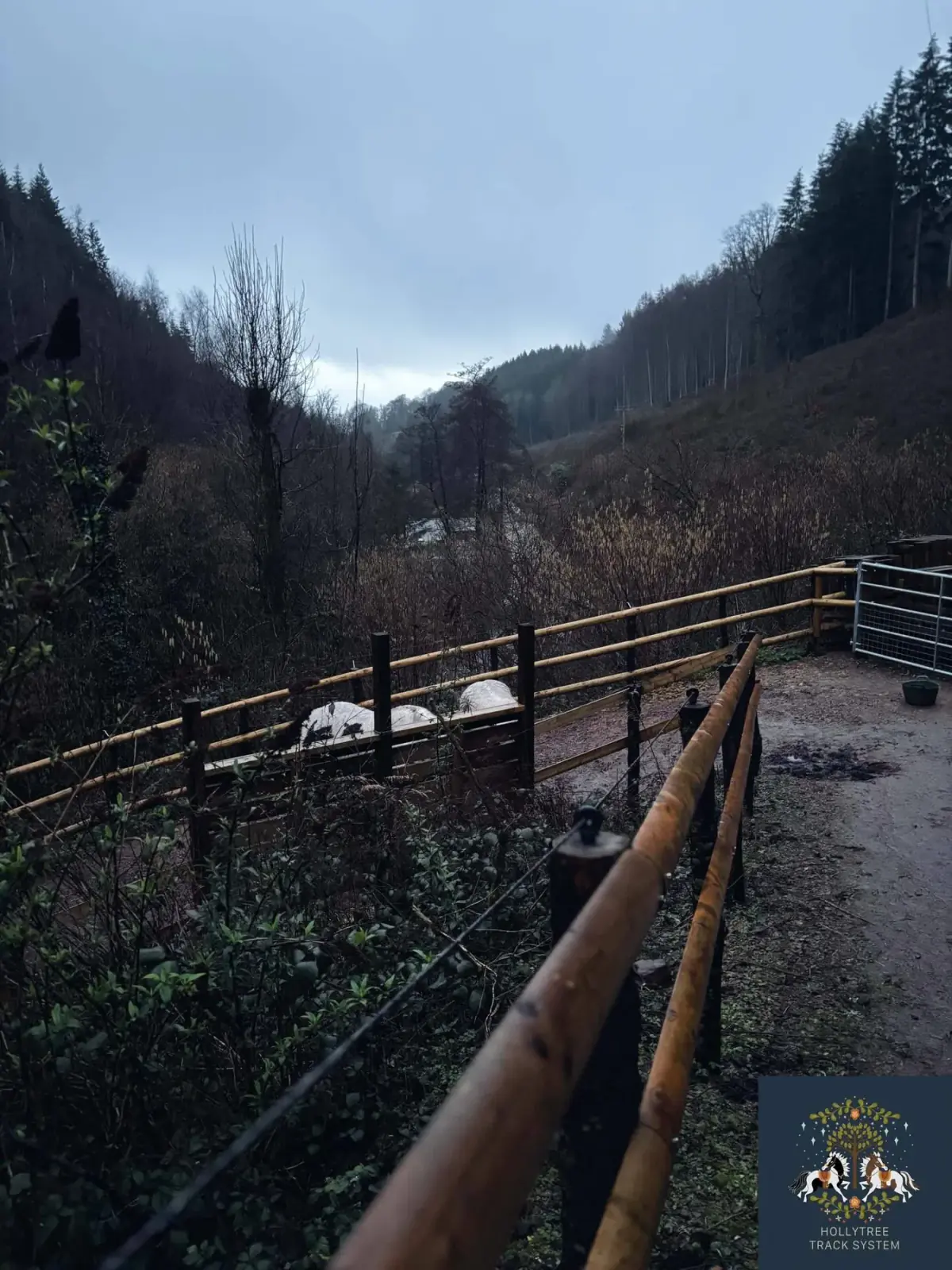 Widok górskiej doliny