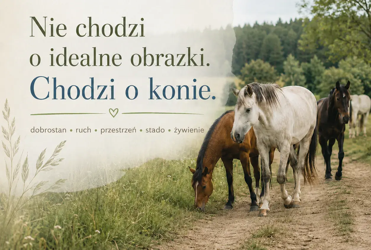 Ilustracja z przesłaniem: Nie chodzi o idealne obrazki. Chodzi o konie.